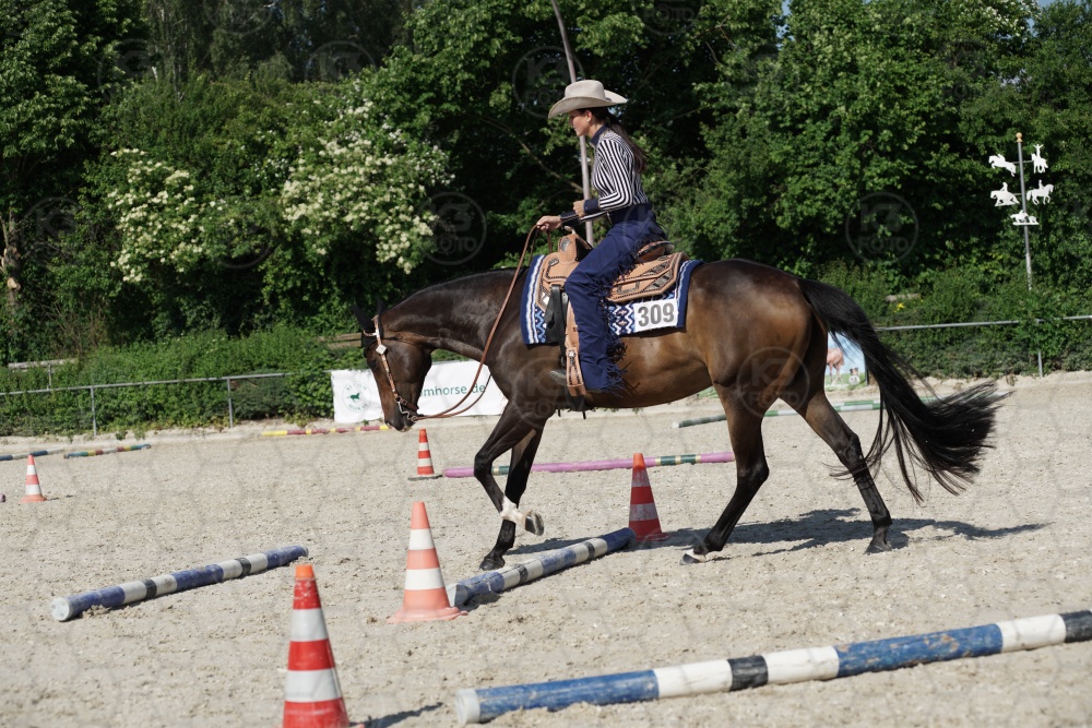 s_APF06725.jpg